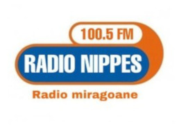 RADIO NIPPES FM 100 5